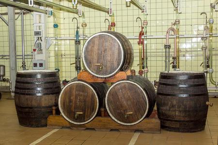香槟工厂老的葡萄酒小桶采用指已提到的人工厂为指已提到的人生产关于